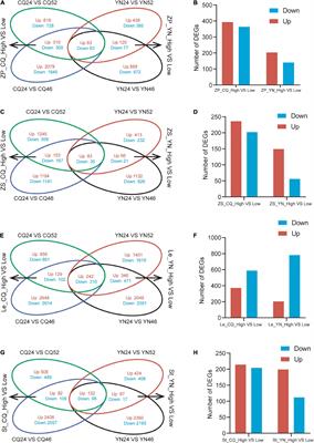 Frontiers | Transcriptome and Small RNA Sequencing Reveal the 